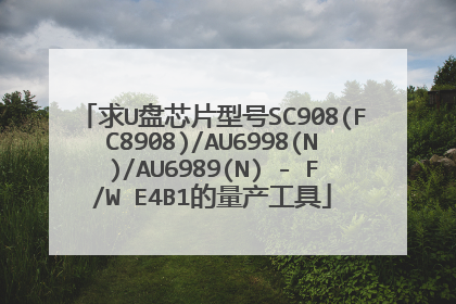 求U盘芯片型号SC908(FC8908)/AU6998(N)/AU6989(N) - F/W E4B1的量产工具