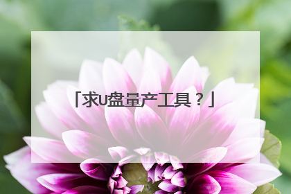 求U盘量产工具?