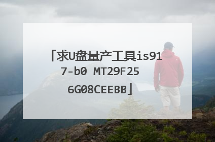 求U盘量产工具is917-b0 MT29F256G08CEEBB