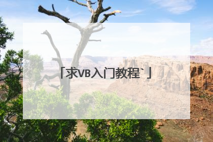 求VB入门教程`