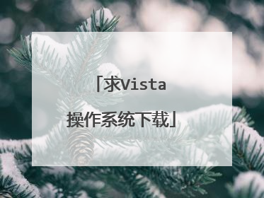 求Vista操作系统下载