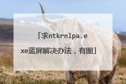 求ntkrnlpa.exe蓝屏解决办法，有图