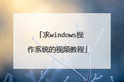 求windows操作系统的视频教程