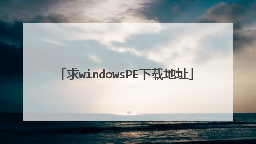 求windowsPE下载地址