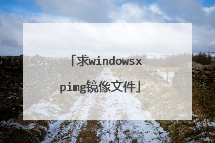 求windowsxpimg镜像文件
