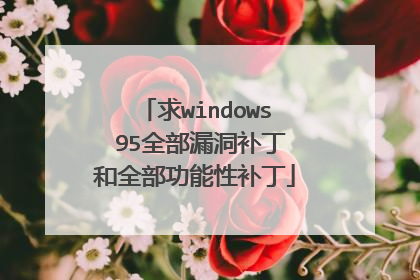 求windows 95全部漏洞补丁和全部功能性补丁