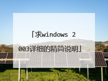 求windows 2003详细的精简说明