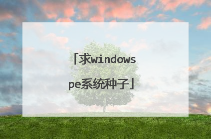求windows pe系统种子