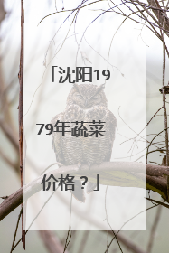 沈阳1979年蔬菜价格?