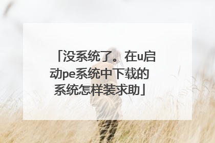 没系统了。在u启动pe系统中下载的系统怎样装求助