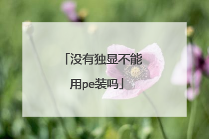 没有独显不能用pe装吗