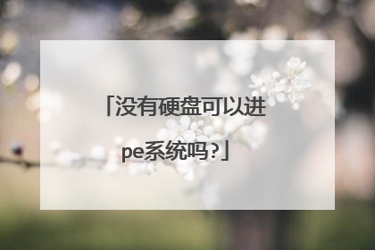 没有硬盘可以进pe系统吗?