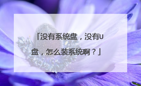 没有系统盘,没有U盘,怎么装系统啊?