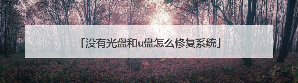 没有光盘和u盘怎么修复系统