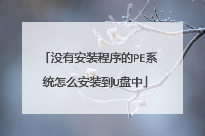 没有安装程序的PE系统怎么安装到U盘中