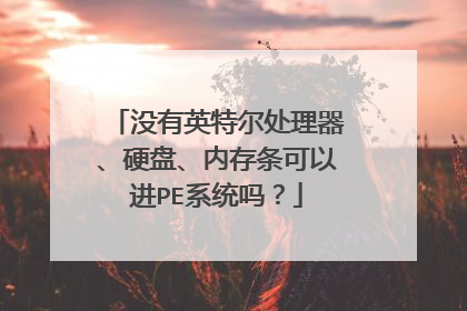 没有英特尔处理器、硬盘、内存条可以进PE系统吗？
