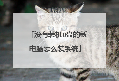 没有装机u盘的新电脑怎么装系统