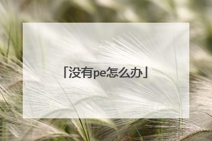 没有pe怎么办