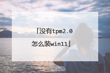没有tpm2.0怎么装win11
