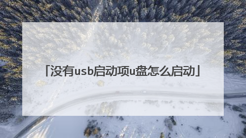 没有usb启动项u盘怎么启动