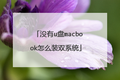 没有u盘macbook怎么装双系统