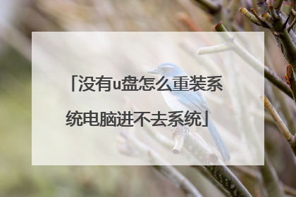 没有u盘怎么重装系统电脑进不去系统