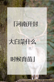 河南开封大白菜什么时候育苗