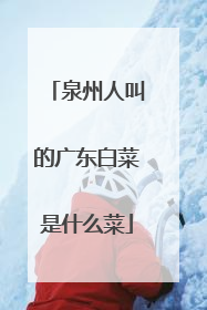 泉州人叫的广东白菜是什么菜