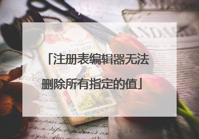 注册表编辑器无法删除所有指定的值