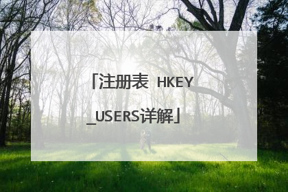 注册表 HKEY_USERS详解