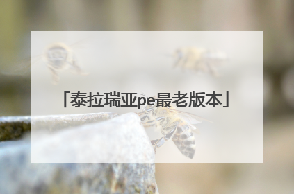 泰拉瑞亚pe最老版本