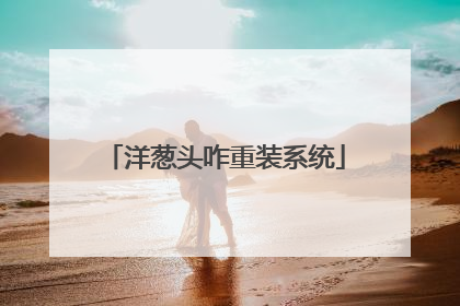 洋葱头咋重装系统