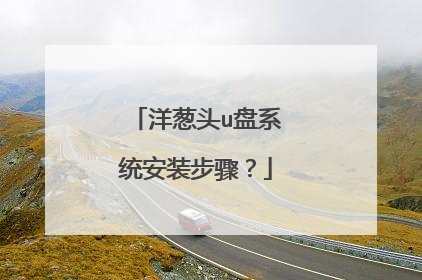 洋葱头u盘系统安装步骤?