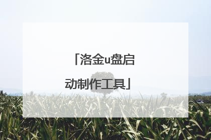 洛金u盘启动制作工具