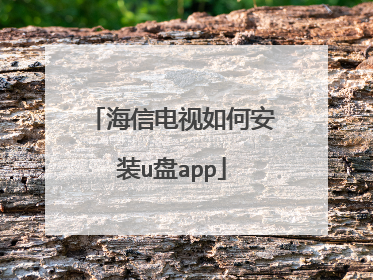 海信电视如何安装u盘app