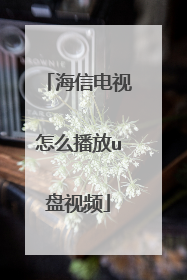 海信电视怎么播放u盘视频