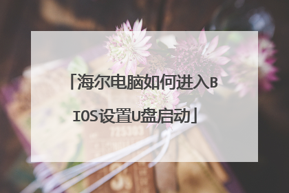 海尔电脑如何进入BIOS设置U盘启动