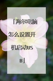 海尔电脑怎么设置开机启动USB