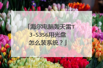 海尔电脑轰天雷T3-S356用光盘怎么装系统?
