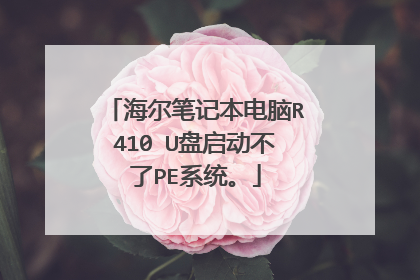海尔笔记本电脑R410 U盘启动不了PE系统。