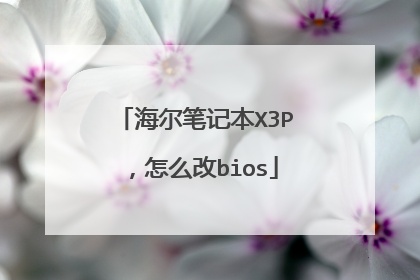 海尔笔记本X3P,怎么改bios