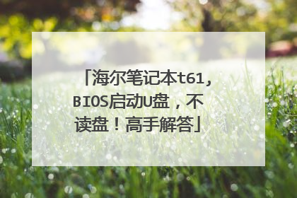 海尔笔记本t61,BIOS启动U盘,不读盘!高手解答