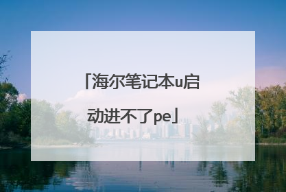 海尔笔记本u启动进不了pe