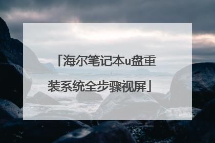 海尔笔记本u盘重装系统全步骤视屏