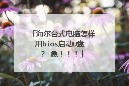 海尔台式电脑怎样用bios启动U盘? 急!!!