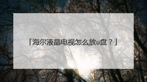 海尔液晶电视怎么放u盘?