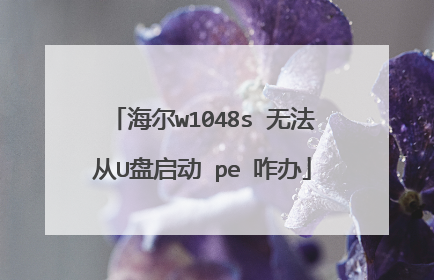 海尔w1048s 无法从U盘启动 pe 咋办