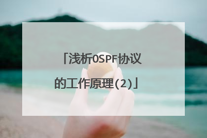 浅析OSPF协议的工作原理(2)