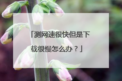 测网速很快但是下载很慢怎么办?