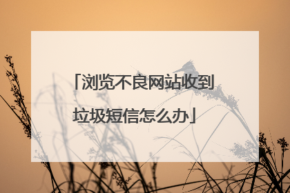 浏览不良网站收到垃圾短信怎么办